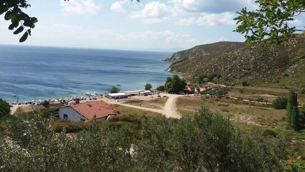 Avsa Cinar Apart Aparthotel Türkeli Exterior foto